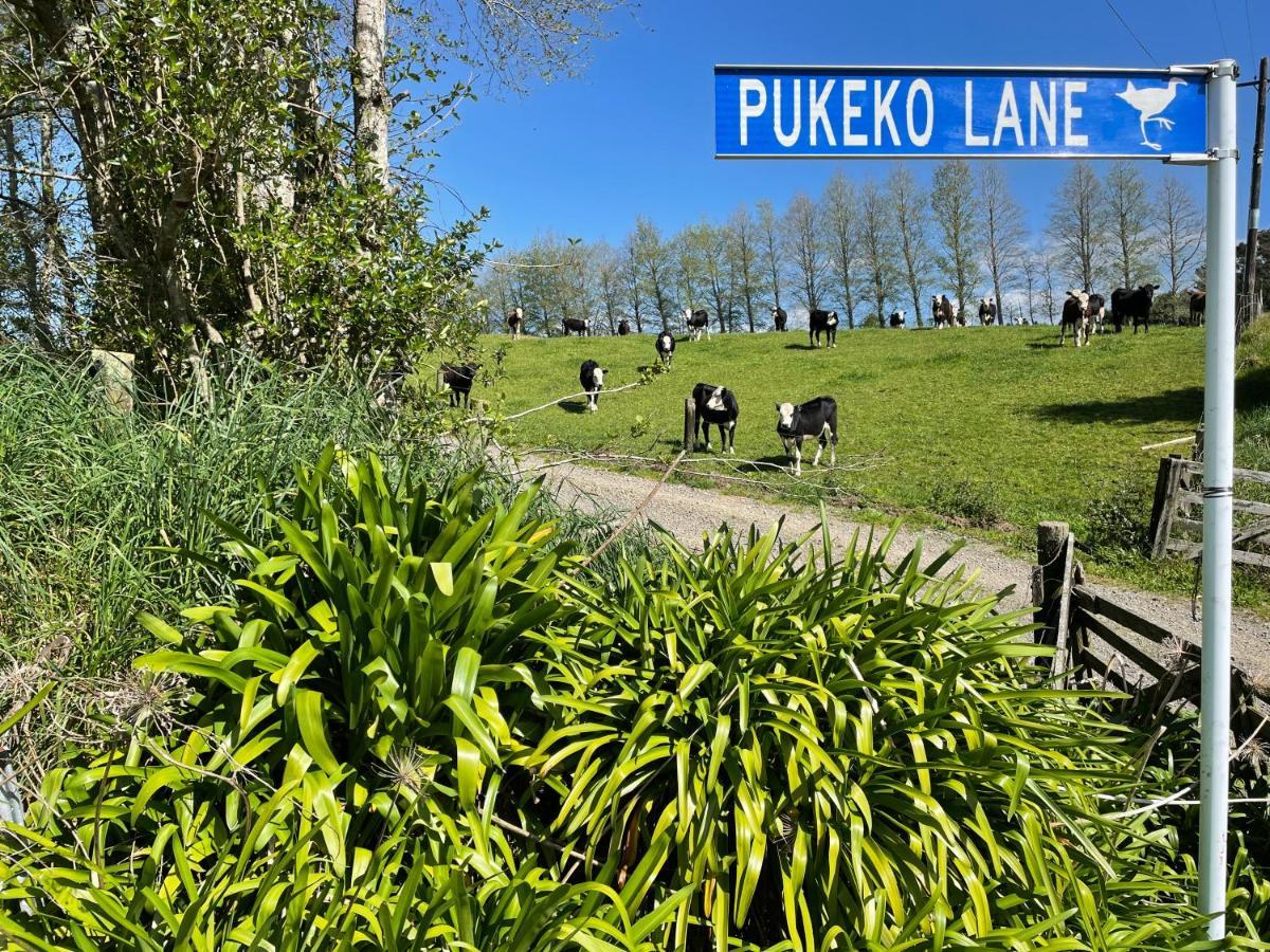 Pukeko Lane Appartement Tauranga Buitenkant foto